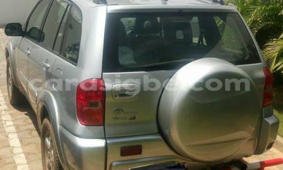 Acheter Occasion Voiture Toyota RAV4 Gris à Adawlato, Togo