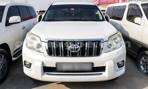 Acheter Import Voiture Toyota Prado Blanc à Import - Dubai, Togo Acheter Import Voiture Toyota Prado Blanc à Import - Dubai, Togo