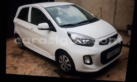Buy Import Kia Picanto White Car in Lome in Togo Buy Import Kia Picanto White Car in Lome in Togo