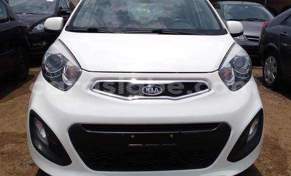Buy Import Kia Picanto White Car in Lome in Togo Buy Import Kia Picanto White Car in Lome in Togo