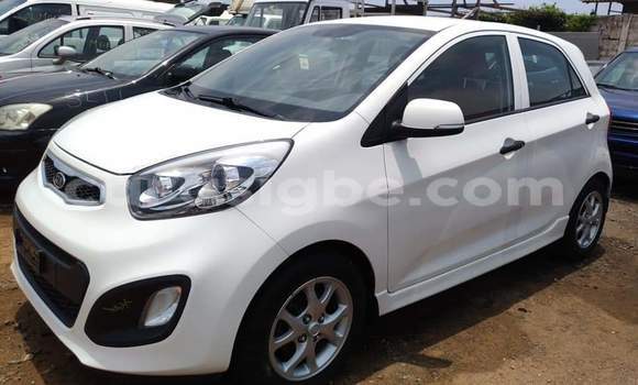 Buy Import Kia Picanto White Car in Lome in Togo Buy Import Kia Picanto White Car in Lome in Togo
