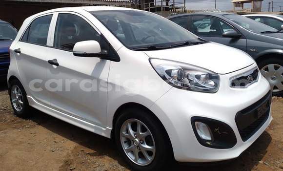 Buy Import Kia Picanto White Car in Lome in Togo Buy Import Kia Picanto White Car in Lome in Togo