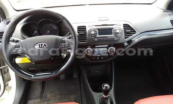 Buy Import Kia Picanto White Car in Lome in Togo Buy Import Kia Picanto White Car in Lome in Togo