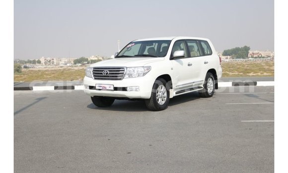Buy Import Toyota Land Cruiser White Car in Import - Dubai in Togo
