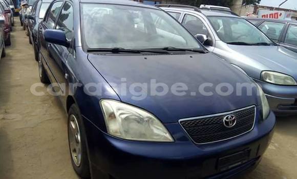 Buy Used Toyota Corolla Blue Car in Adawlato in Togo Buy Used Toyota Corolla Blue Car in Adawlato in Togo