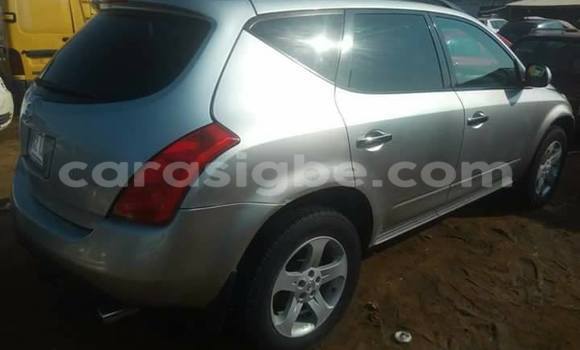 Acheter Occasion Voiture Nissan Murano Gris à Adawlato, Togo