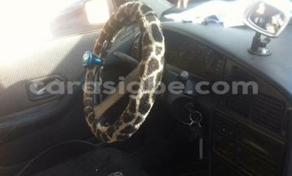 Acheter Occasion Voiture Peugeot 406 Gris à Adawlato, Togo