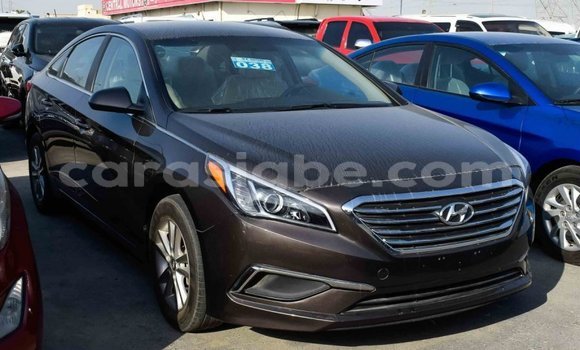 Acheter Import Voiture Hyundai Sonata Marron à Import - Dubai, Togo Acheter Import Voiture Hyundai Sonata Marron à Import - Dubai, Togo