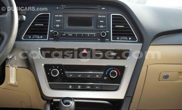 Acheter Import Voiture Hyundai Sonata Marron à Import - Dubai, Togo Acheter Import Voiture Hyundai Sonata Marron à Import - Dubai, Togo