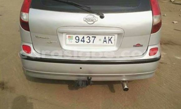 Buy Used Nissan Almera Silver Car in Adawlato in Togo Buy Used Nissan Almera Silver Car in Adawlato in Togo