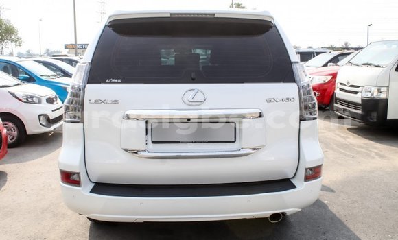 Buy Import Lexus GX 460 White Car in Import - Dubai in Togo Buy Import Lexus GX 460 White Car in Import - Dubai in Togo