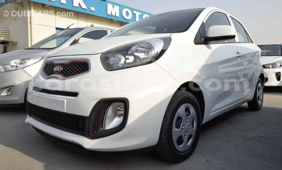 Acheter Import Voiture Kia Picanto Blanc à Import - Dubai, Togo Acheter Import Voiture Kia Picanto Blanc à Import - Dubai, Togo