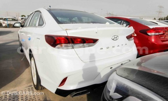 Acheter Import Voiture Hyundai Sonata Blanc à Import - Dubai, Togo Acheter Import Voiture Hyundai Sonata Blanc à Import - Dubai, Togo