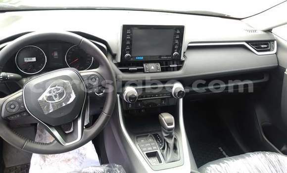 Buy New Toyota RAV4 Black Car in Lome in Togo Buy New Toyota RAV4 Black Car in Lome in Togo