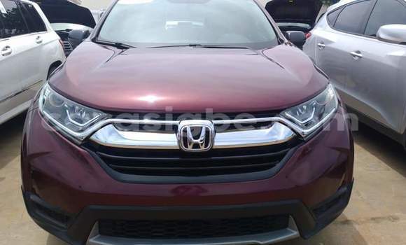Buy Import Honda CR–V Other Car in Lome in Togo