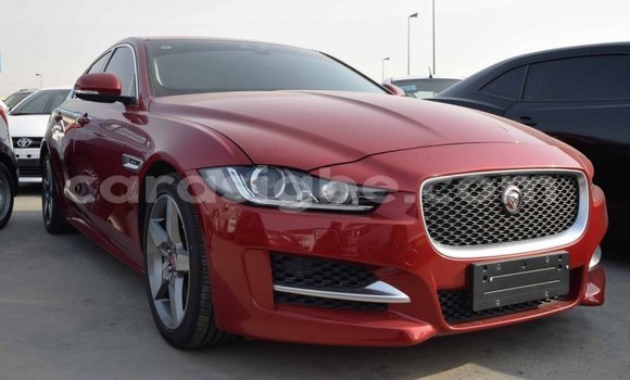 Acheter Import Voiture Jaguar XE Rouge à Import - Dubai, Togo