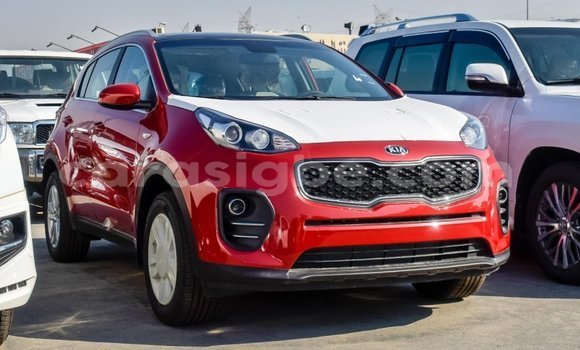 Buy Import Kia Sportage Red Car in Import - Dubai in Togo