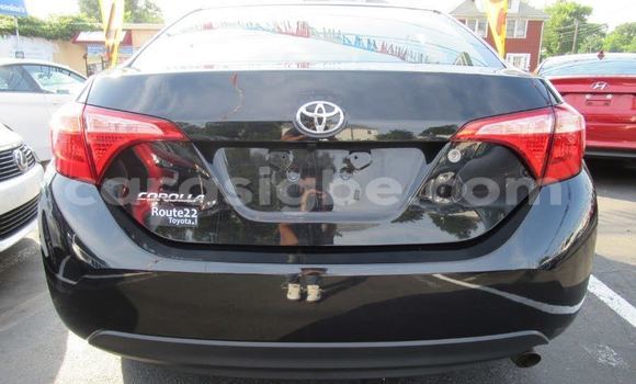 Buy Used Toyota Corolla Black Car in Lome in Togo Buy Used Toyota Corolla Black Car in Lome in Togo