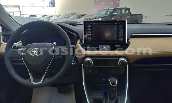 Acheter Neuf Voiture Toyota RAV4 Gris à Lomé, Togo Acheter Neuf Voiture Toyota RAV4 Gris à Lomé, Togo