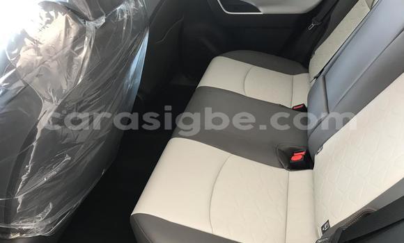 Acheter Neuf Voiture Toyota RAV4 Gris à Lomé, Togo Acheter Neuf Voiture Toyota RAV4 Gris à Lomé, Togo