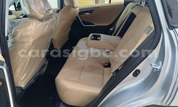 Acheter Neuf Voiture Toyota RAV4 Gris à Lomé, Togo Acheter Neuf Voiture Toyota RAV4 Gris à Lomé, Togo