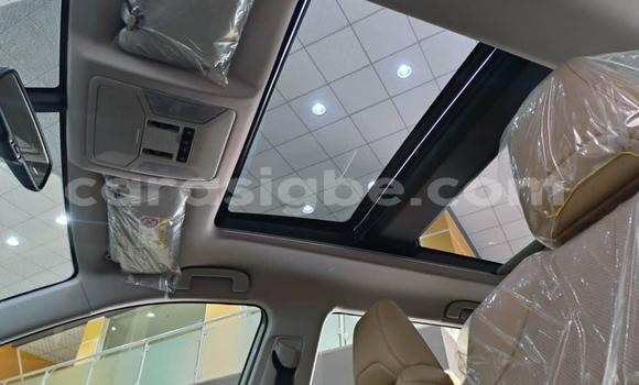 Acheter Neuf Voiture Toyota RAV4 Gris à Lomé, Togo Acheter Neuf Voiture Toyota RAV4 Gris à Lomé, Togo