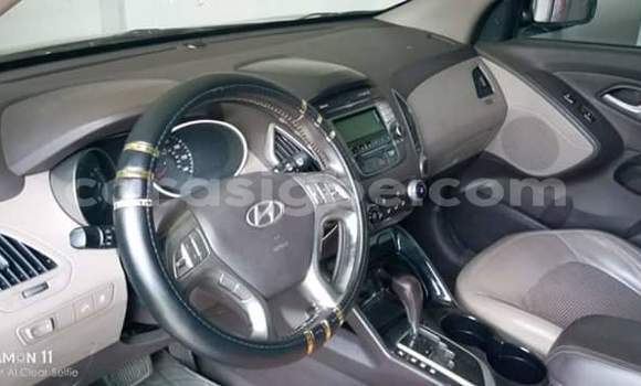 Buy Used Hyundai Tucson Brown Car in Lome in Togo Buy Used Hyundai Tucson Brown Car in Lome in Togo