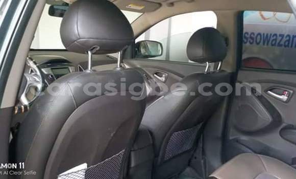 Buy Used Hyundai Tucson Brown Car in Lome in Togo Buy Used Hyundai Tucson Brown Car in Lome in Togo