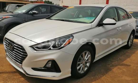 Acheter Import Voiture Hyundai Sonata Blanc à Lomé, Togo