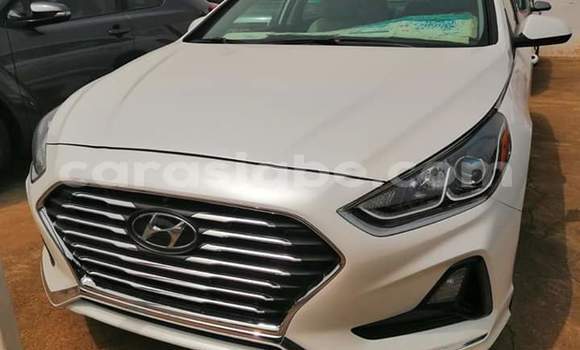 Buy Import Hyundai Sonata White Car in Lome in Togo Buy Import Hyundai Sonata White Car in Lome in Togo