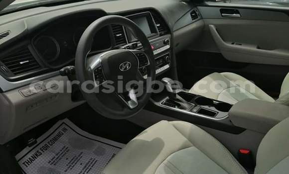 Buy Import Hyundai Sonata White Car in Lome in Togo Buy Import Hyundai Sonata White Car in Lome in Togo