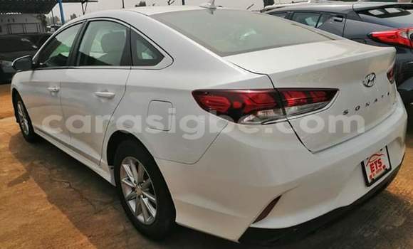 Buy Import Hyundai Sonata White Car in Lome in Togo Buy Import Hyundai Sonata White Car in Lome in Togo