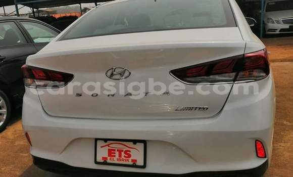 Buy Import Hyundai Sonata White Car in Lome in Togo Buy Import Hyundai Sonata White Car in Lome in Togo