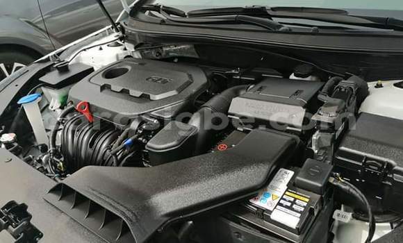 Buy Import Hyundai Sonata White Car in Lome in Togo Buy Import Hyundai Sonata White Car in Lome in Togo