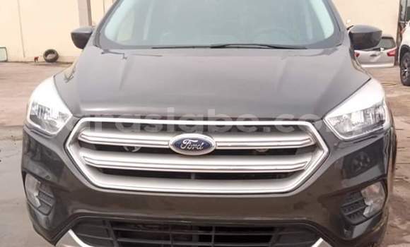 Acheter Import Voiture Ford Escape Marron à Lomé, Togo