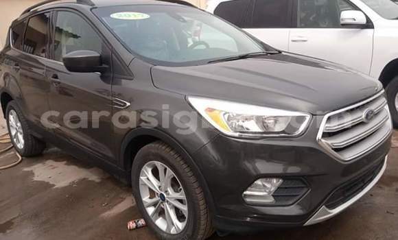 Buy Import Ford Escape Brown Car in Lome in Togo Buy Import Ford Escape Brown Car in Lome in Togo