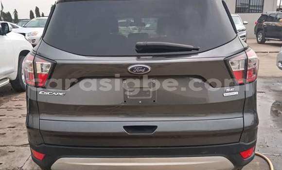 Buy Import Ford Escape Brown Car in Lome in Togo Buy Import Ford Escape Brown Car in Lome in Togo