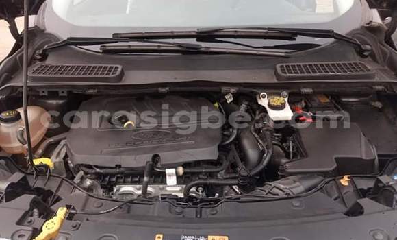 Buy Import Ford Escape Brown Car in Lome in Togo Buy Import Ford Escape Brown Car in Lome in Togo