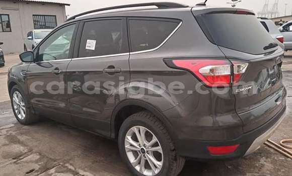Buy Import Ford Escape Brown Car in Lome in Togo Buy Import Ford Escape Brown Car in Lome in Togo