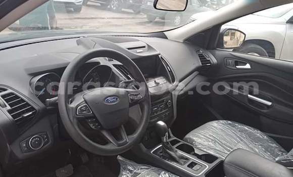 Buy Import Ford Escape Brown Car in Lome in Togo Buy Import Ford Escape Brown Car in Lome in Togo