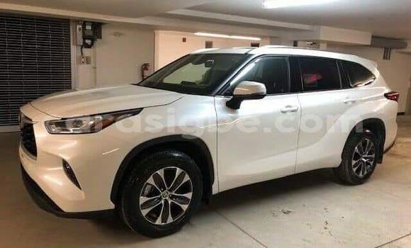 Buy New Toyota Highlander White Car in Lome in Togo Buy New Toyota Highlander White Car in Lome in Togo