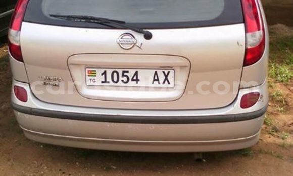 Acheter Occasion Voiture Nissan Almera Gris à Adawlato au Togo Acheter Occasion Voiture Nissan Almera Gris à Adawlato au Togo