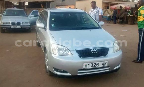 Acheter Occasion Voiture Toyota Corolla Gris à Adawlato, Togo Acheter Occasion Voiture Toyota Corolla Gris à Adawlato, Togo