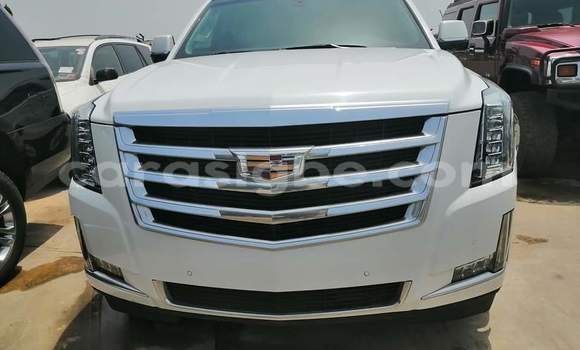Acheter Import Voiture Cadillac Escalade Blanc à Lomé, Togo