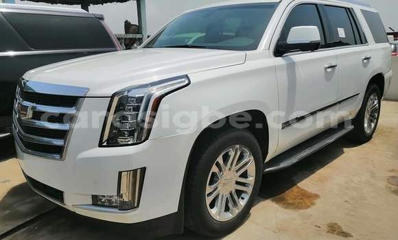 Buy Import Cadillac Escalade White Car in Lome in Togo Buy Import Cadillac Escalade White Car in Lome in Togo