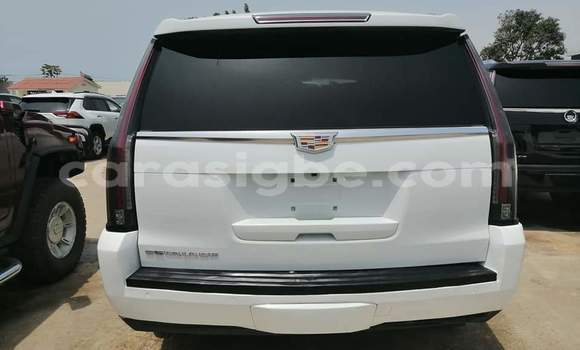 Buy Import Cadillac Escalade White Car in Lome in Togo Buy Import Cadillac Escalade White Car in Lome in Togo