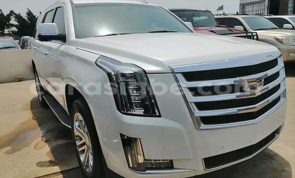 Buy Import Cadillac Escalade White Car in Lome in Togo Buy Import Cadillac Escalade White Car in Lome in Togo