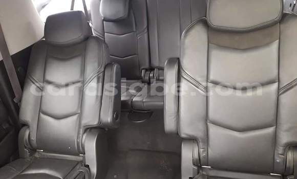 Buy Import Cadillac Escalade White Car in Lome in Togo Buy Import Cadillac Escalade White Car in Lome in Togo