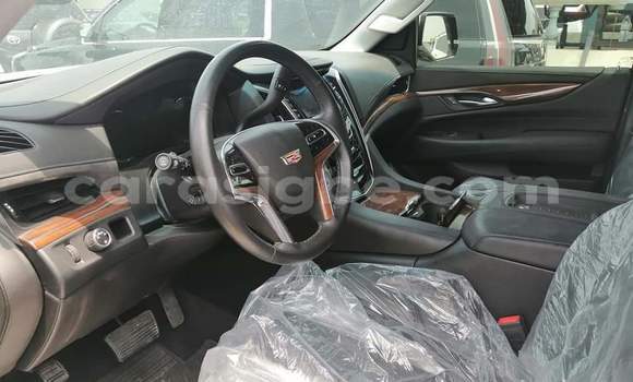 Buy Import Cadillac Escalade White Car in Lome in Togo Buy Import Cadillac Escalade White Car in Lome in Togo