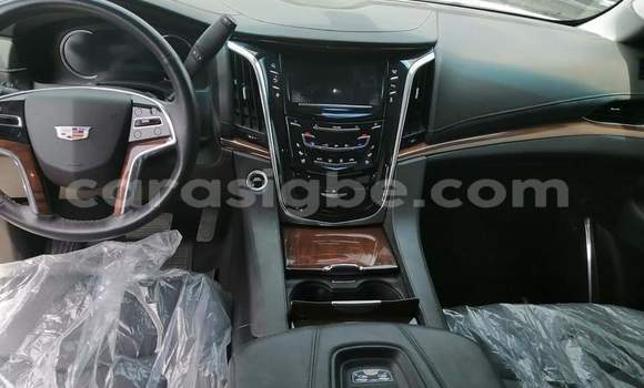 Buy Import Cadillac Escalade White Car in Lome in Togo Buy Import Cadillac Escalade White Car in Lome in Togo